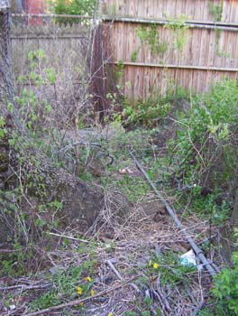 NaionalYouth_0275