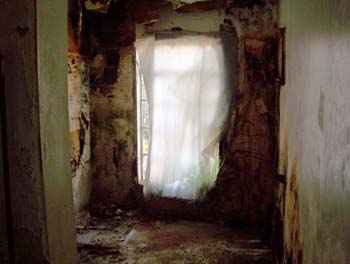 nysd2005_0297