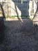 nysd2005_0290