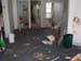 nysd2005_0294