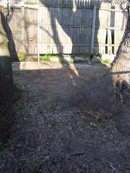 nysd2005_0290