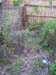 NaionalYouth_0275